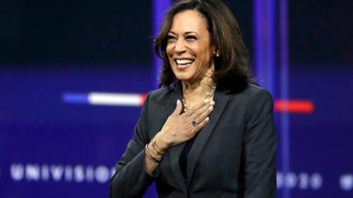 Picture of Kamala Harris 